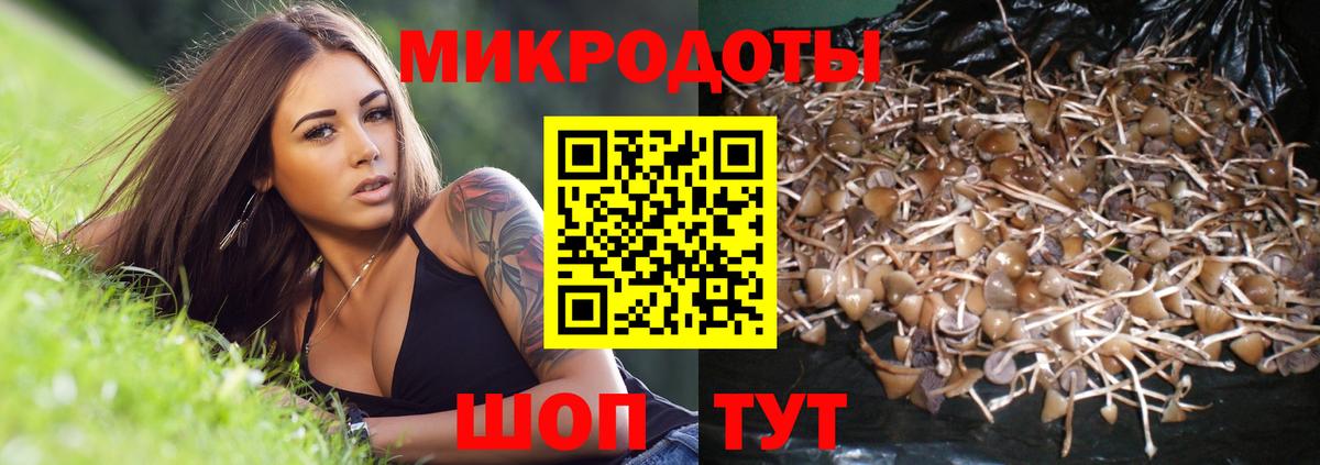 Псилоцибиновые грибы Psilocybe  Псилоцибиновые грибы GOLDEN TEACHER  Пенза  Вход с VPN 