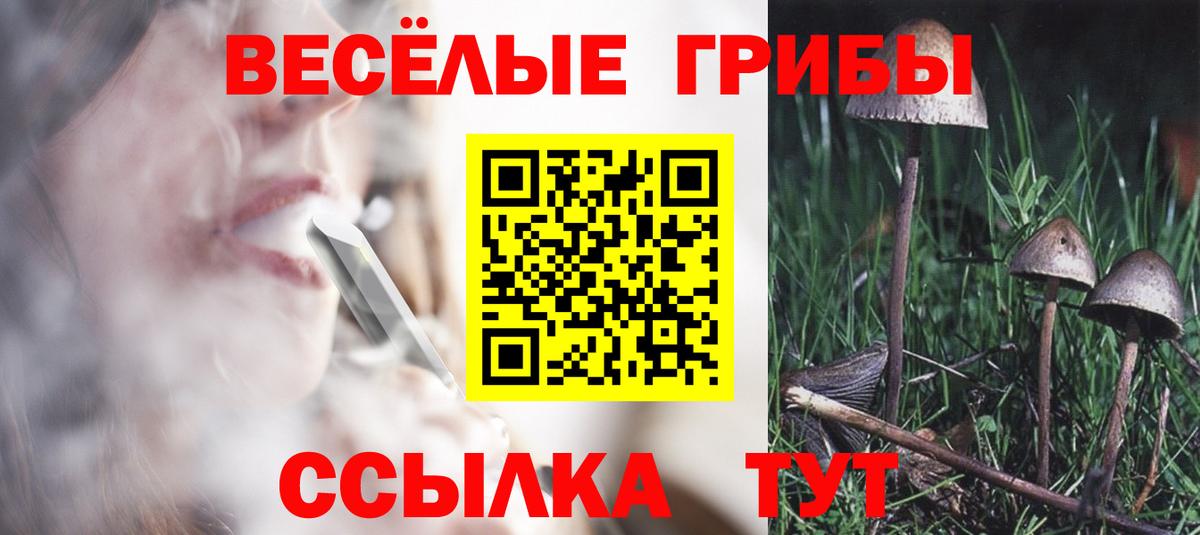 Гашиш Пенза